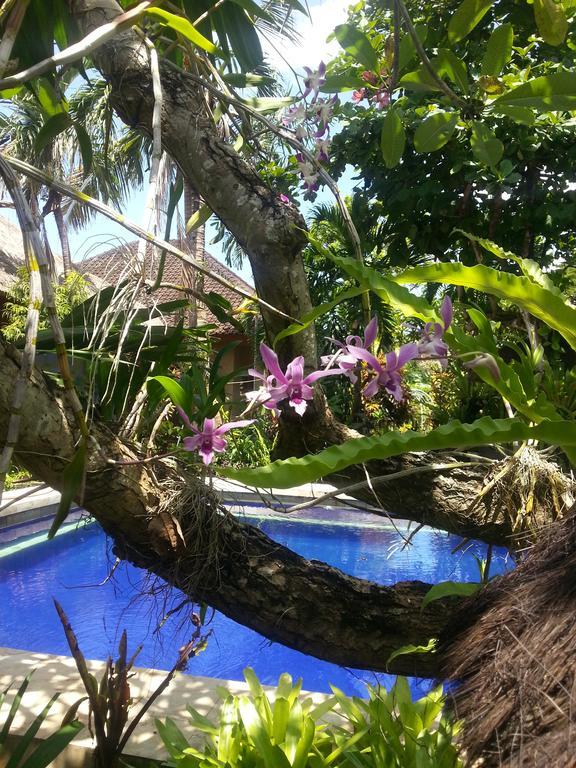 Sanur Beach Villas Dış mekan fotoğraf
