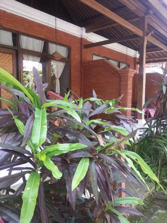 Sanur Beach Villas Dış mekan fotoğraf